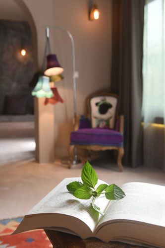 Hotel Ifeel (adults Only) 4*